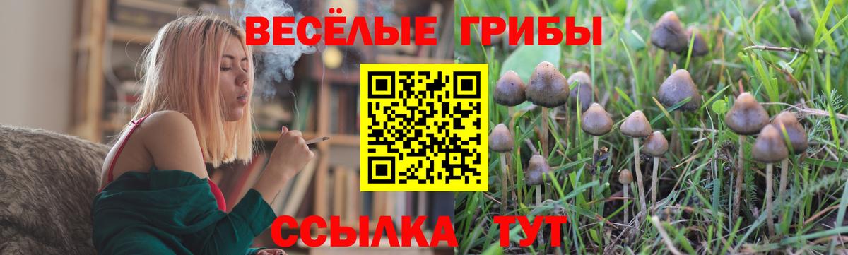 Псилоцибиновые грибы прущие грибы  продажа наркотиков  Галлюциногенные грибы Psilocybine cubensis  Казань  Вход с VPN 